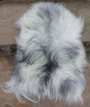 Shetland sheep skin